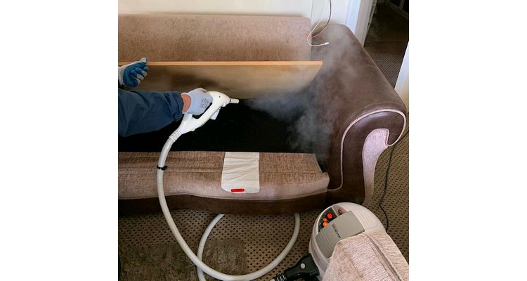 Bed Bug Removal Heat and Steam Treatment available in Norwich, Great Yarmouth, Lowestoft, Ipswich, Colchester, Bury St Edmunds, Newmarket and Cambridge.