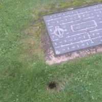 Wasp Nest Ground Entrance Hole
