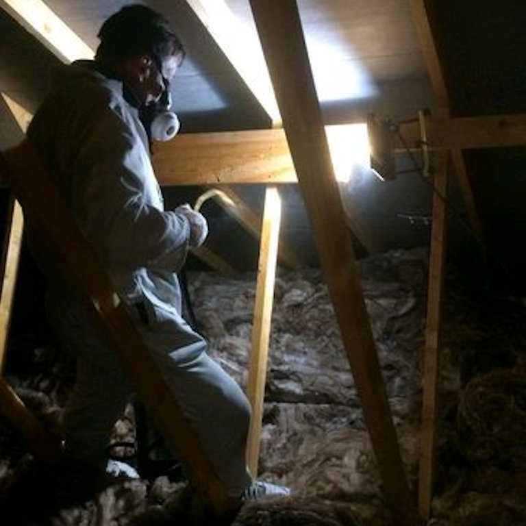 Loft Insulation Removal - Area disinfection to kill harmful pathogens and bacteria