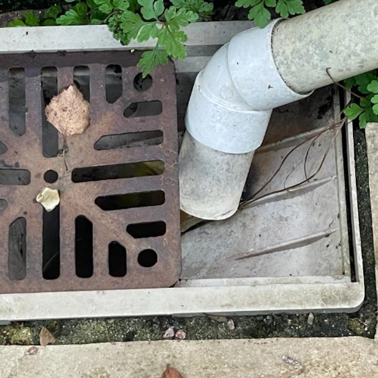 Pest Proofing Drain Mesh Cover Before