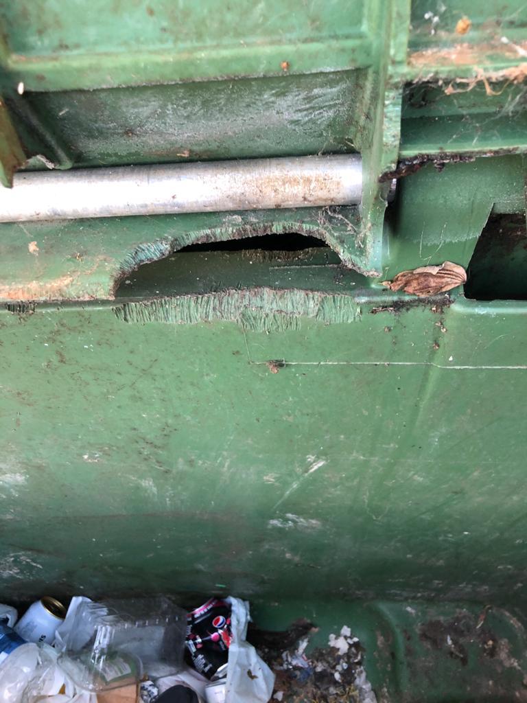 Rat Chew Marks on a bin 